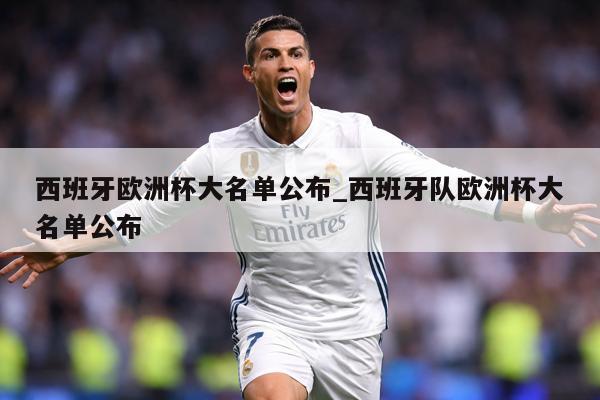 西班牙欧洲杯大名单公布_西班牙队欧洲杯大名单公布
