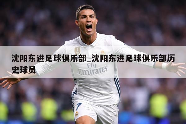 沈阳东进足球俱乐部_沈阳东进足球俱乐部历史球员
