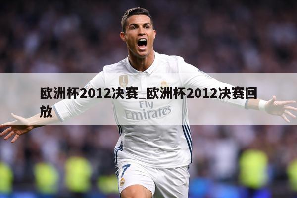 欧洲杯2012决赛_欧洲杯2012决赛回放